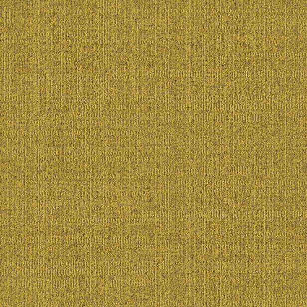 Dune 224